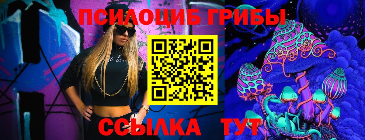 Гуково  Псилоцибиновые грибы Cubensis  Вход с VPN  Псилоцибиновые грибы Psilocybine cubensis 