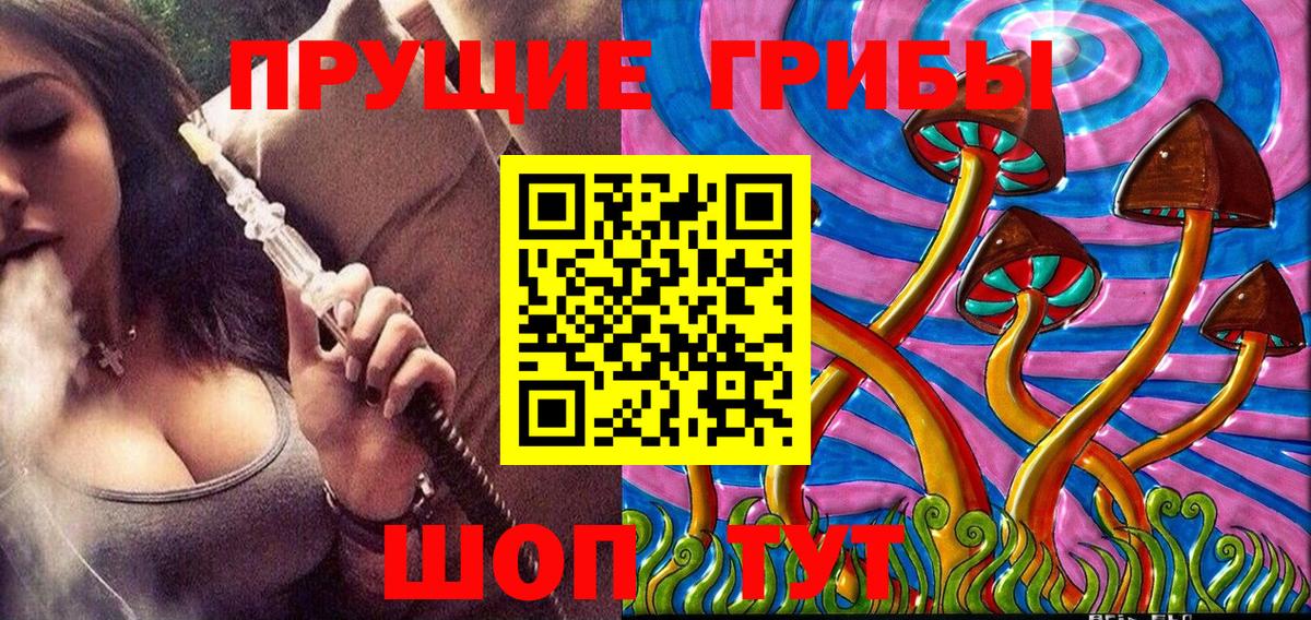 Псилоцибиновые грибы прущие грибы Гуково